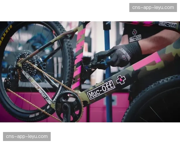 Canyon DH Racing、Santa Cruz Syndicate、Commencal-Muc-Off等车队入选重力组世界杯车队名单
